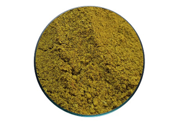 cassia tora seed meal cassia tora seed meal
