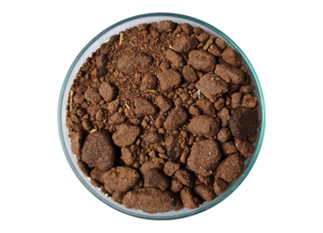 rapeseed meal doc rapeseed meal doc